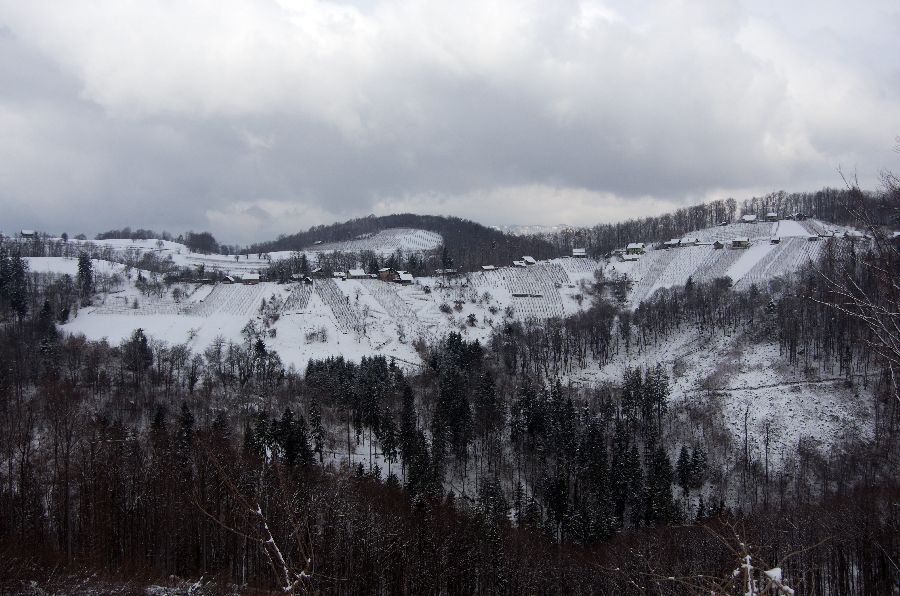 21. februar 13 - foto povečava