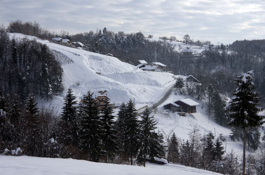 25. februar 13 - foto povečava