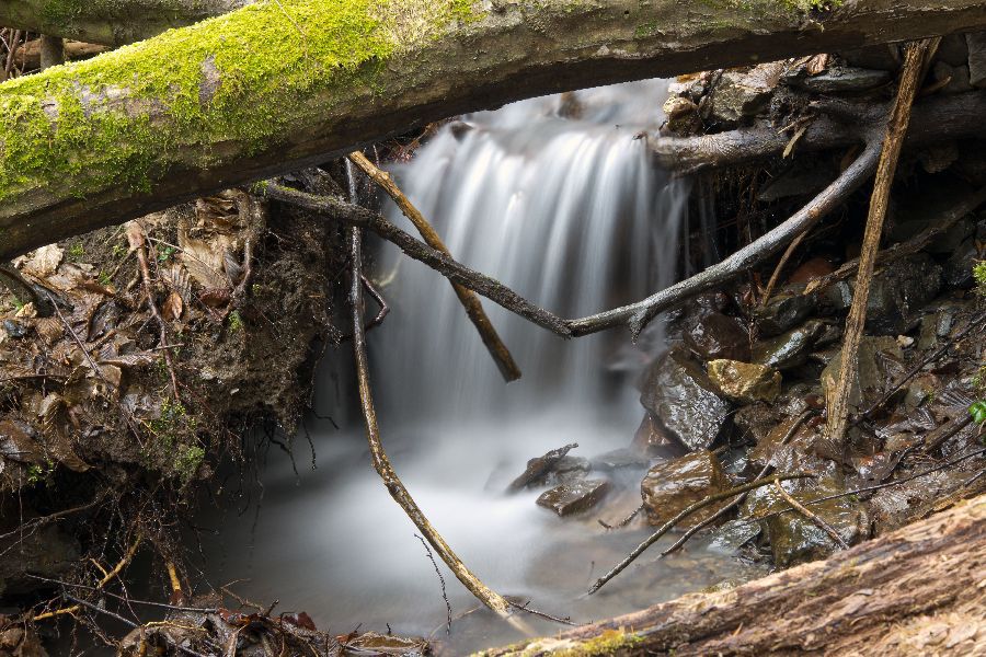 9. marec 13 - foto povečava