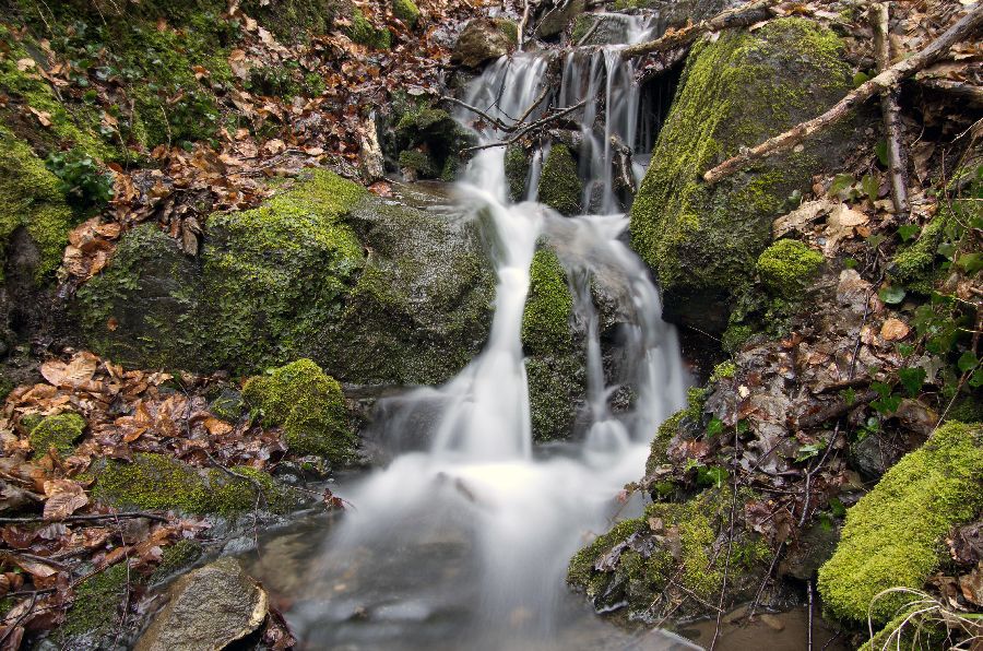 9. marec 13 - foto povečava