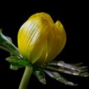 10. marec 13