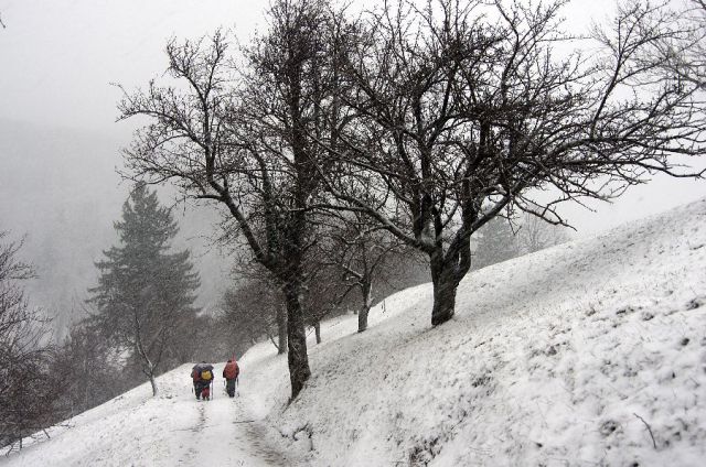 14. marec 13 - foto