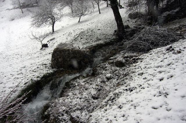14. marec 13 - foto