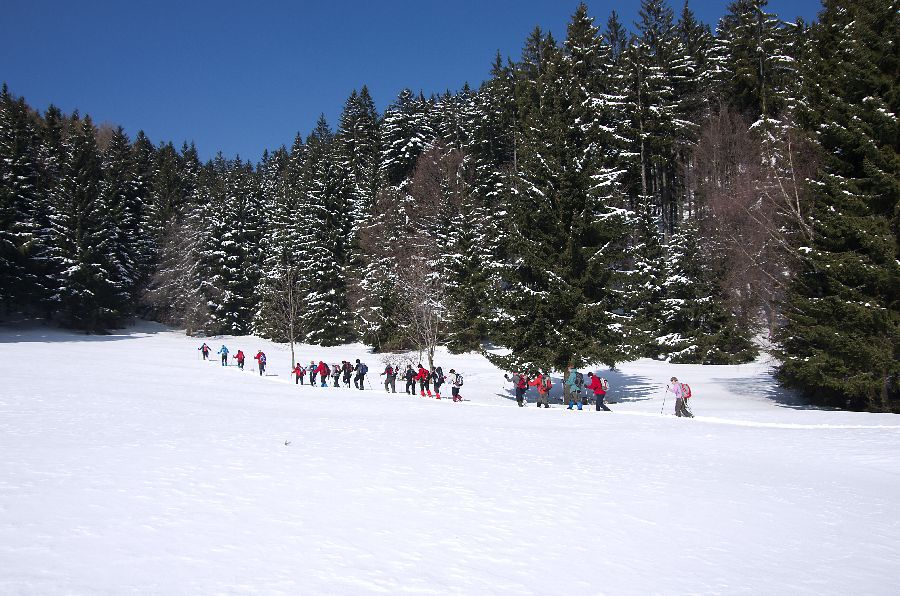 16. marec 13 - foto povečava