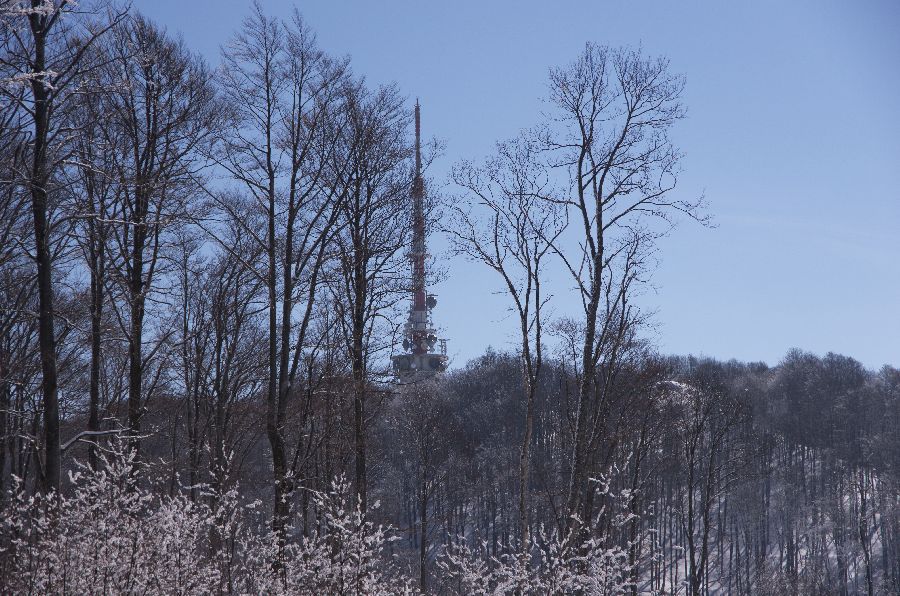 28. marec 13 - foto povečava