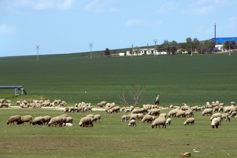 29. april 13 - foto povečava