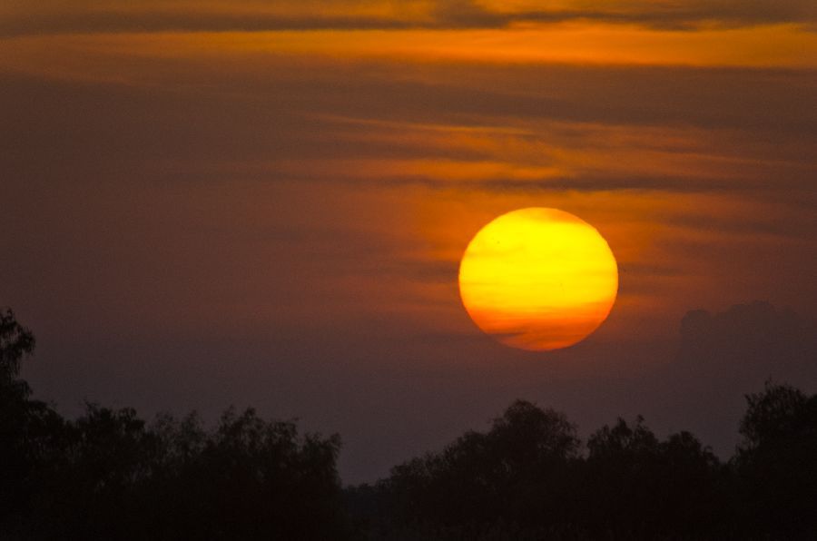 1. maj 13 - foto povečava