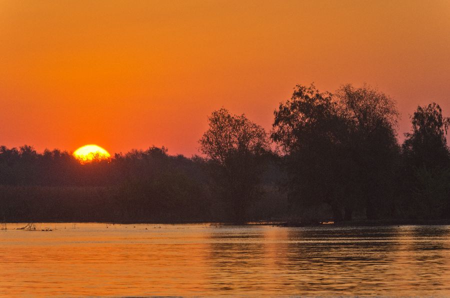 2. maj 13 - foto povečava