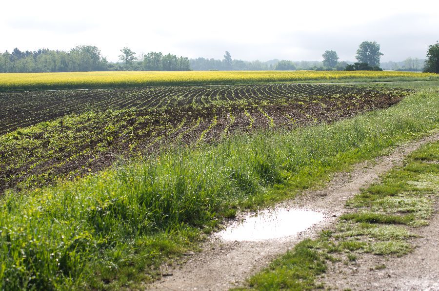 8. maj 13 - foto povečava