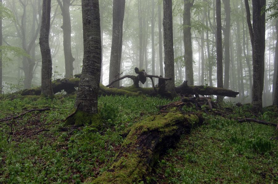 11. maj 13 - foto povečava