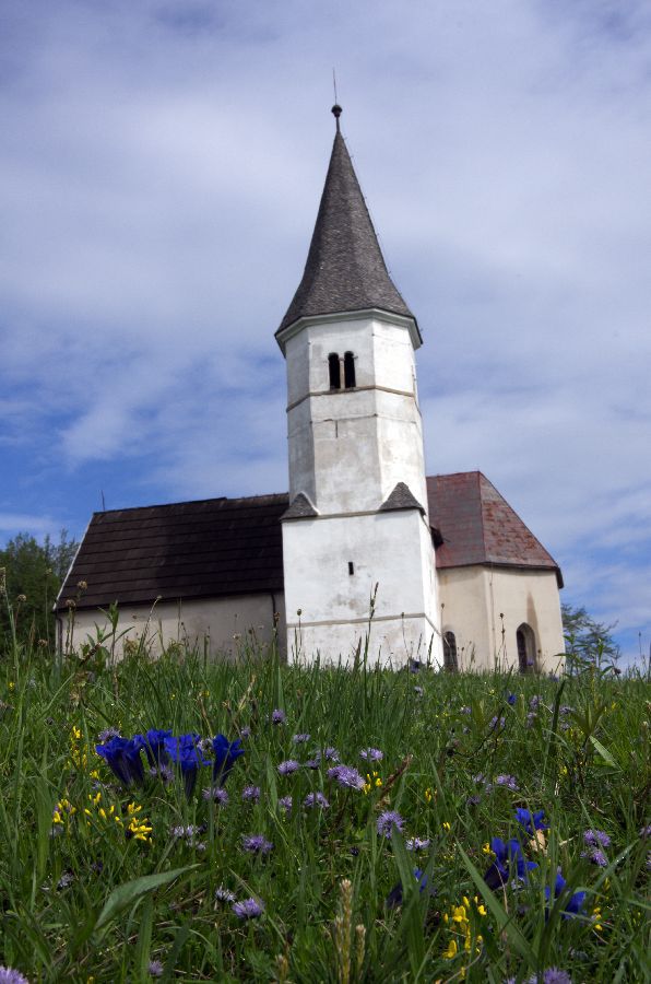 12. maj 13 - foto povečava