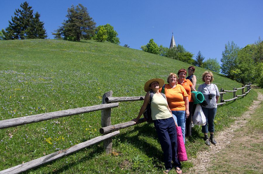 154. maj 13 - foto povečava