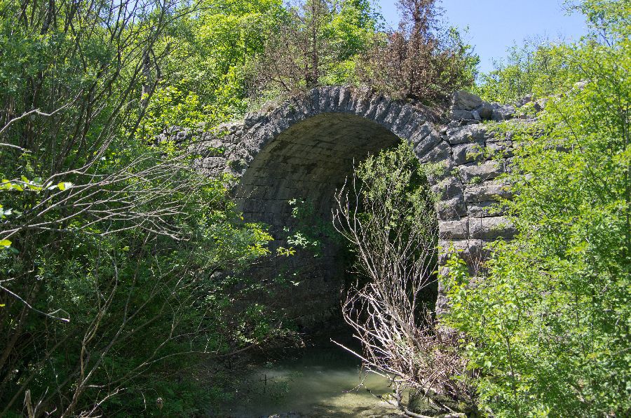 15. maj 13 - foto povečava