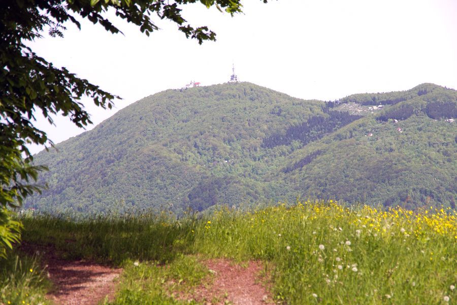 19. maj 13 - foto povečava