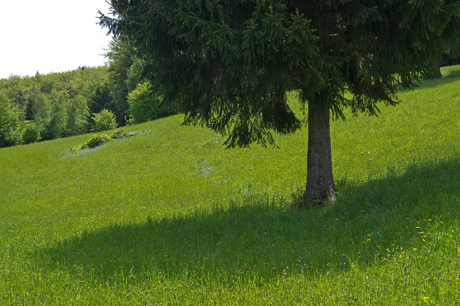 19. maj 13 - foto povečava