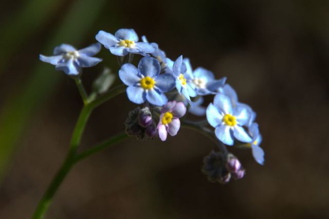 20. maj 13 - foto