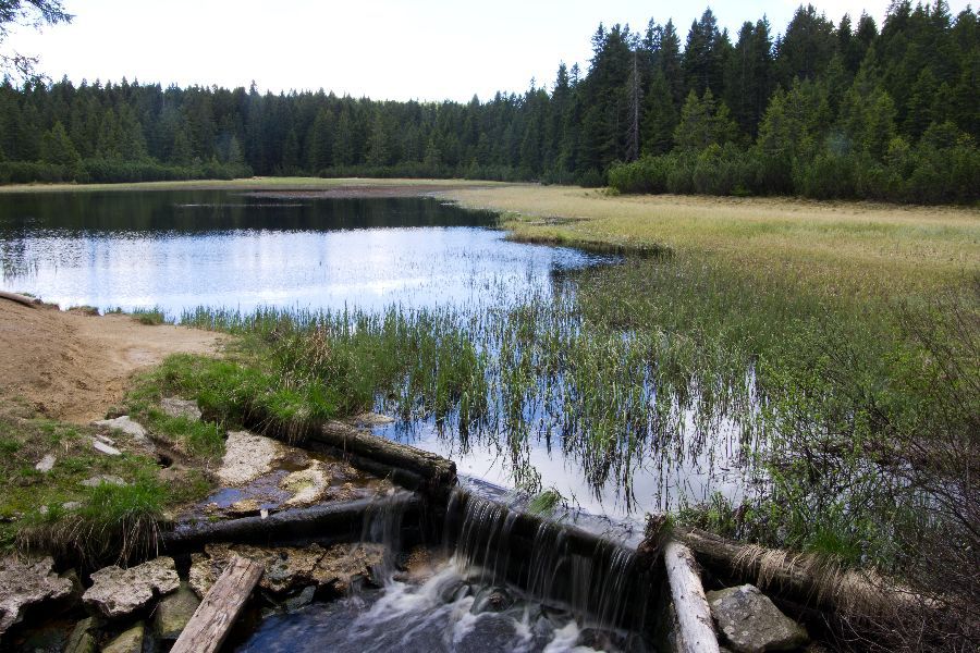 20. maj 13 - foto povečava