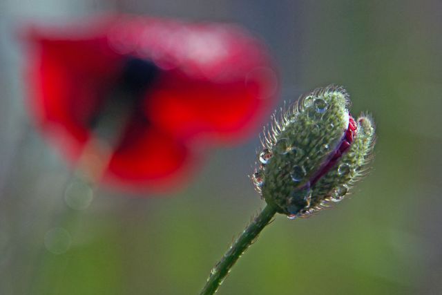 24. maj 13 - foto