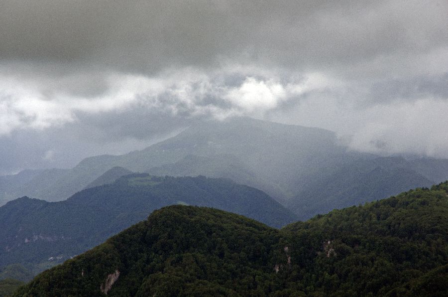 25. maj 13 - foto povečava