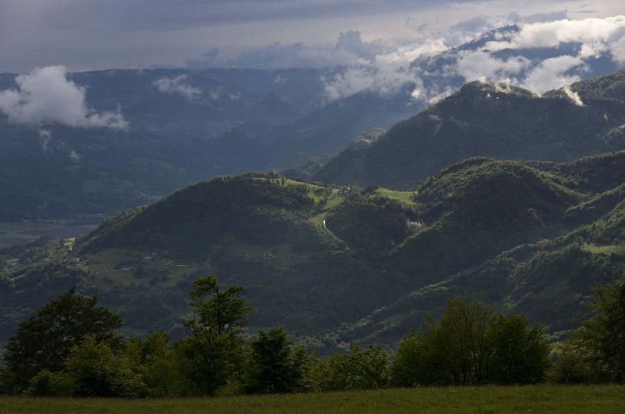 25. maj 13 - foto povečava