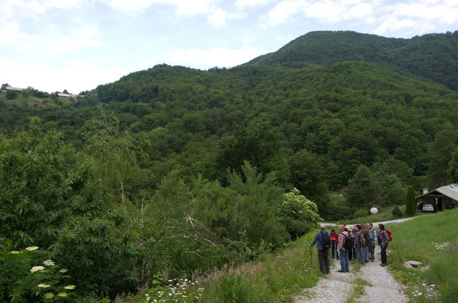 29. maj 13 - foto povečava