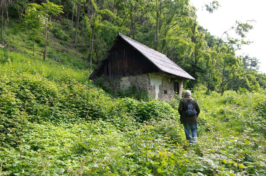 29. maj 13 - foto povečava