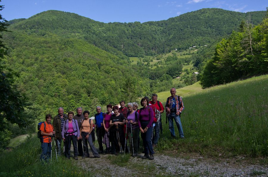 29. maj 13 - foto povečava