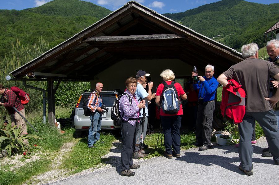 29. maj 13 - foto povečava