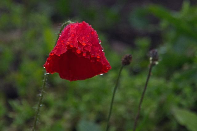 30. maj 13 - foto