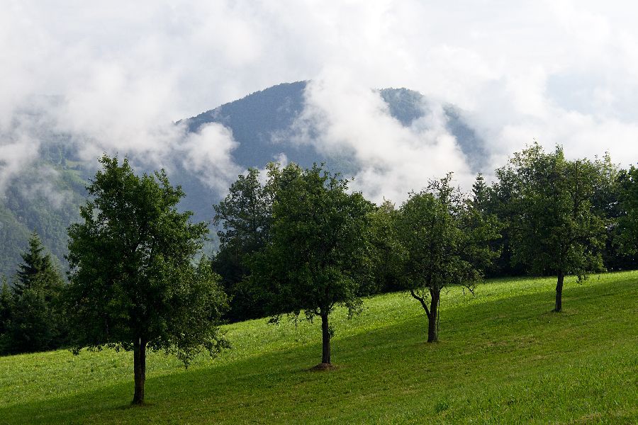 27. junij 13 - foto povečava