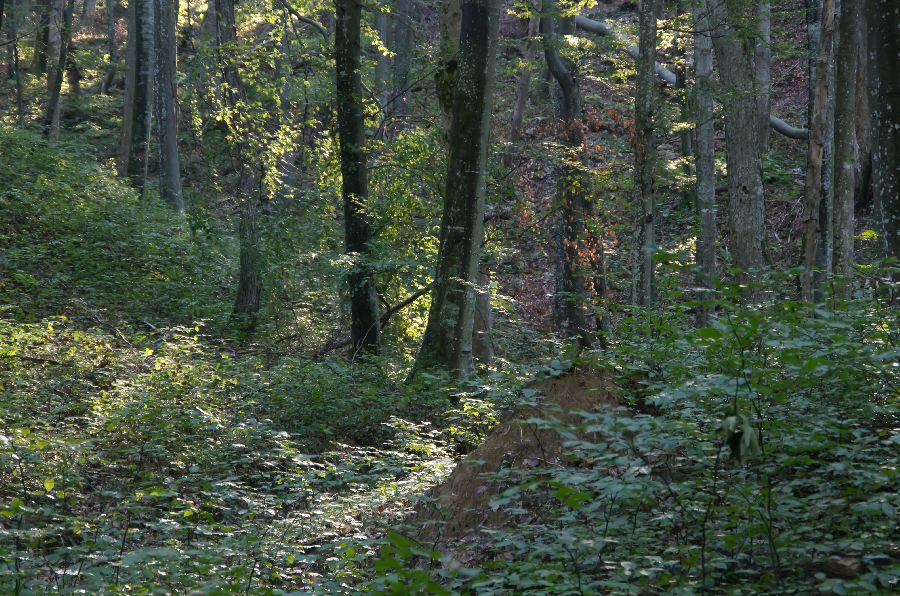 16. september 13 - foto povečava