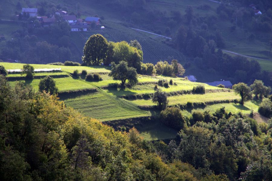 19. september 13 - foto povečava