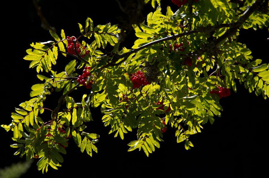 23. september 13 - foto povečava