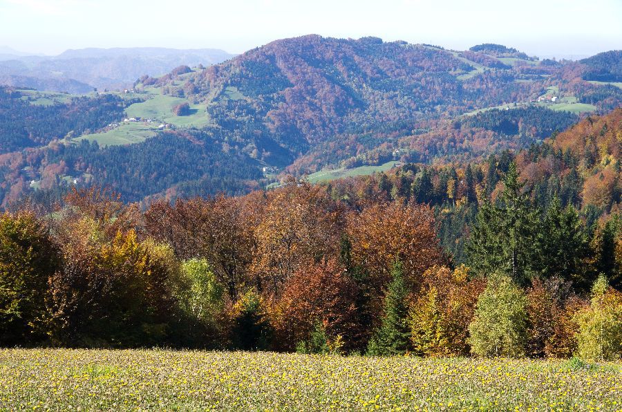 17. oktober 13 - foto povečava