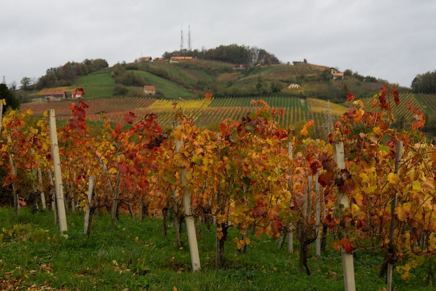 28. oktober 13 - foto povečava