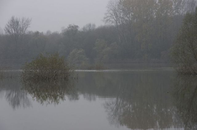 19. november 13 - foto