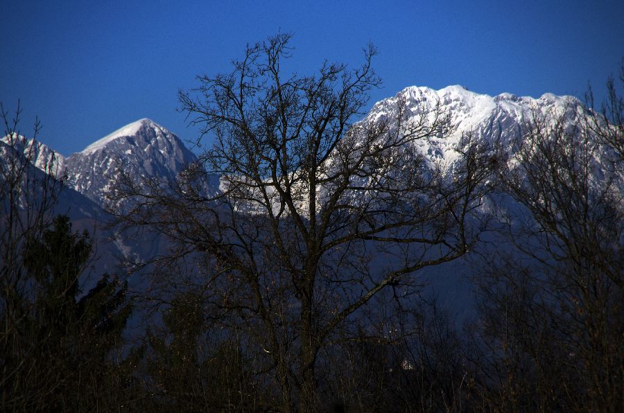 2. december 13 - foto povečava