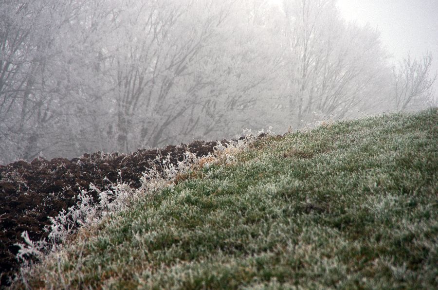 16. december 13 - foto povečava