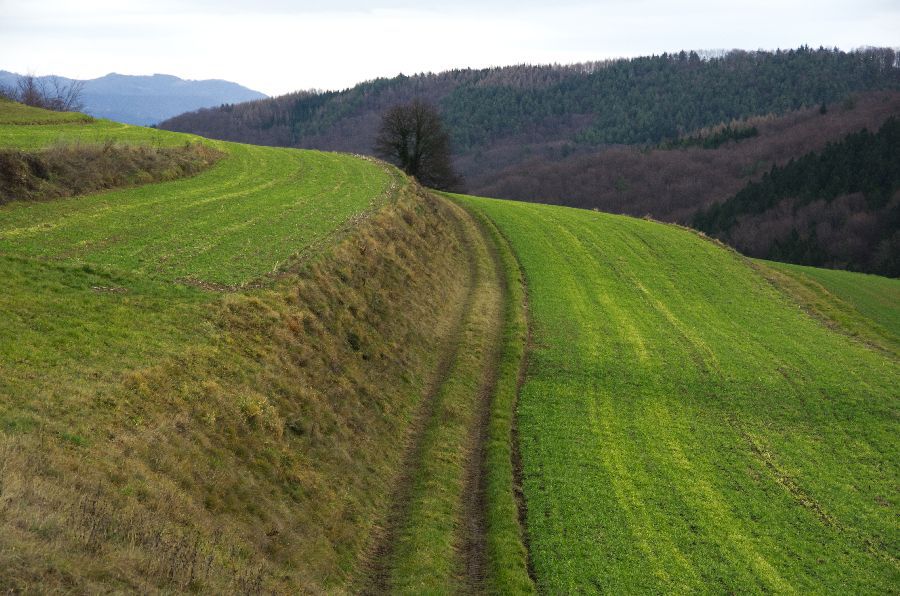 26. december 13 - foto povečava