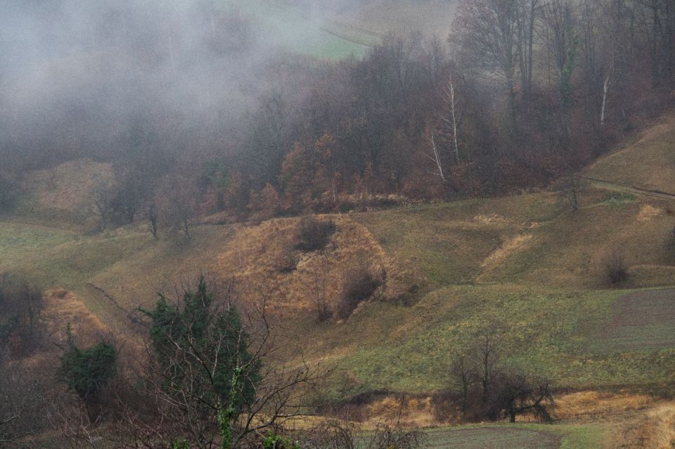 1. januar 14 - foto povečava