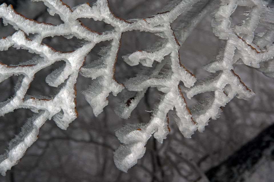 1. januar 14 - foto povečava