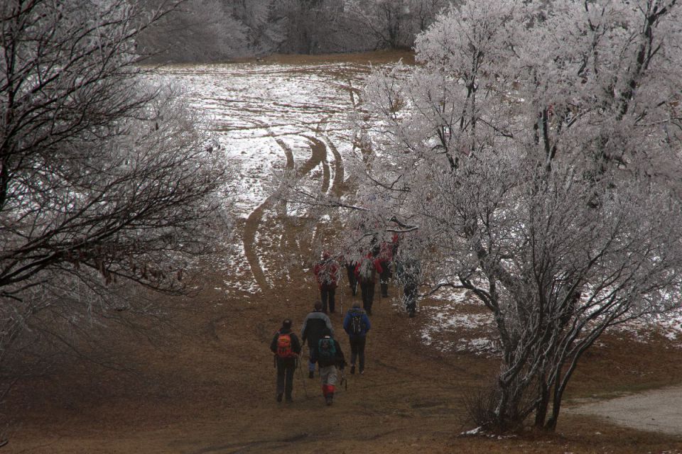 1. januar 14 - foto povečava