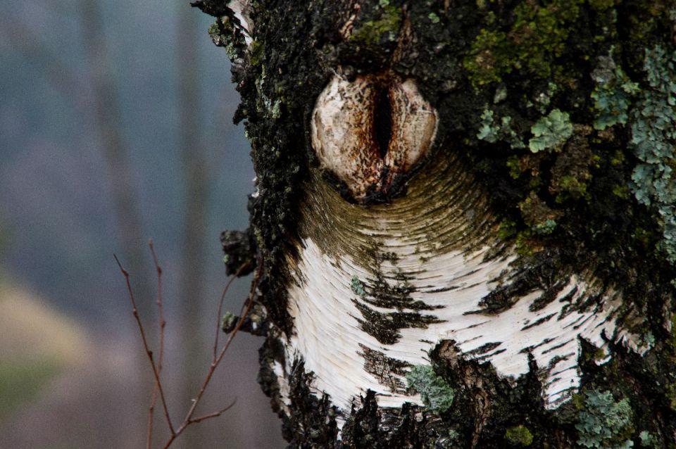 1. januar 14 - foto povečava