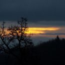 5. januar 14