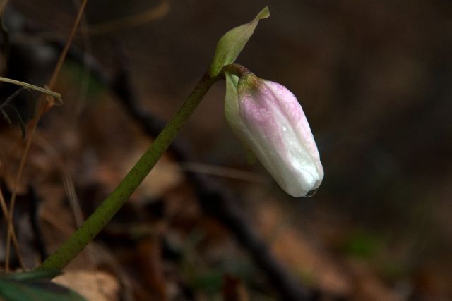 5. januar 14 - foto