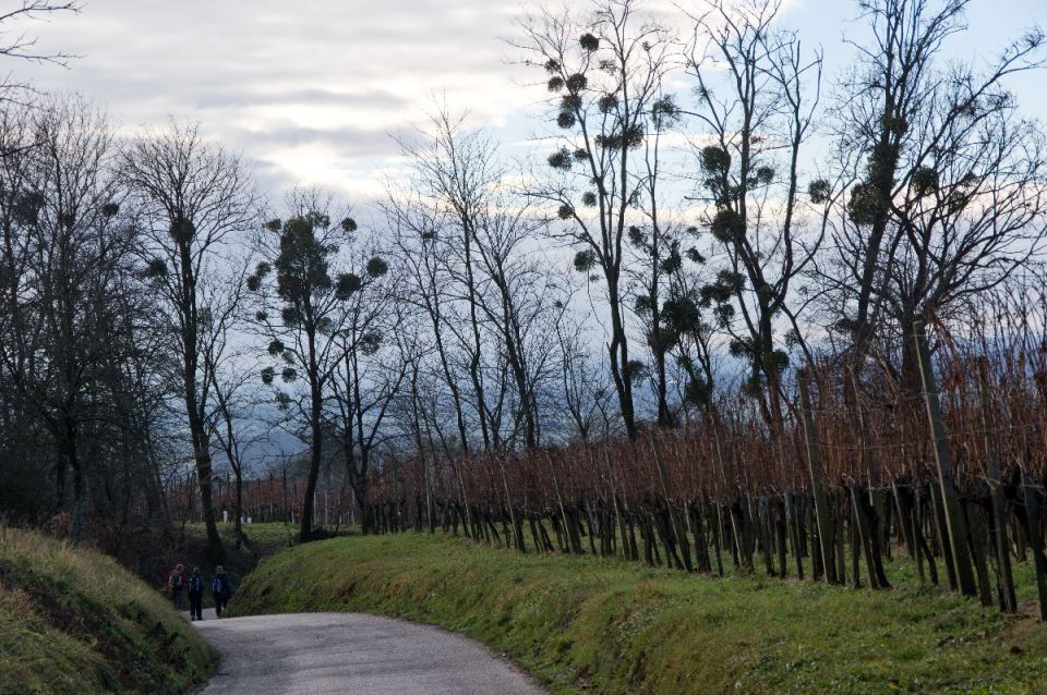 6. januar 14 - foto povečava