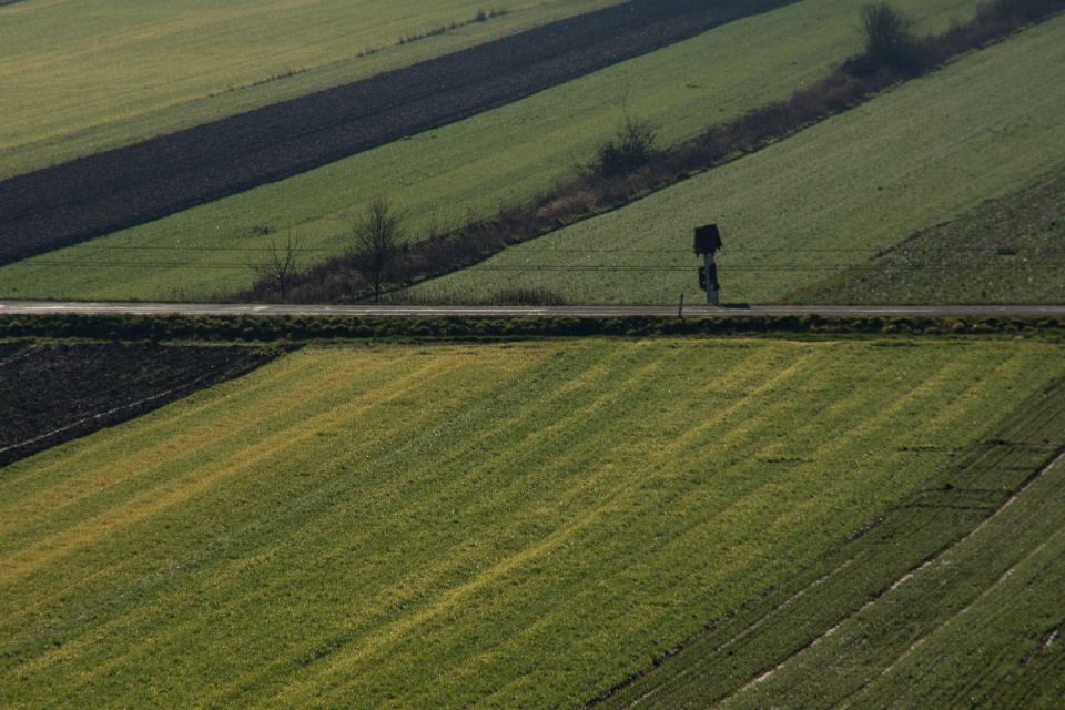 6. januar 14 - foto povečava