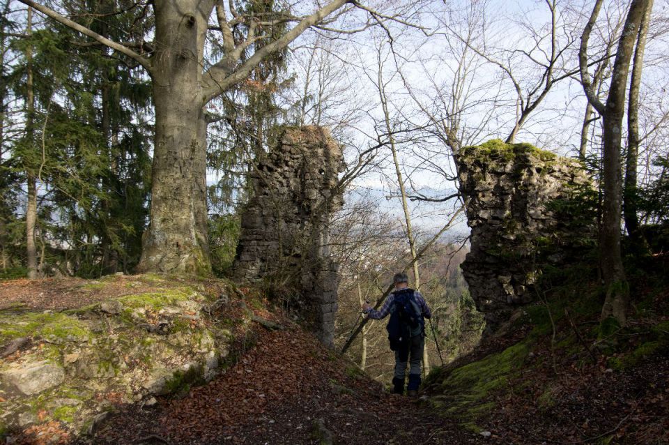 9. januar 14 - foto povečava