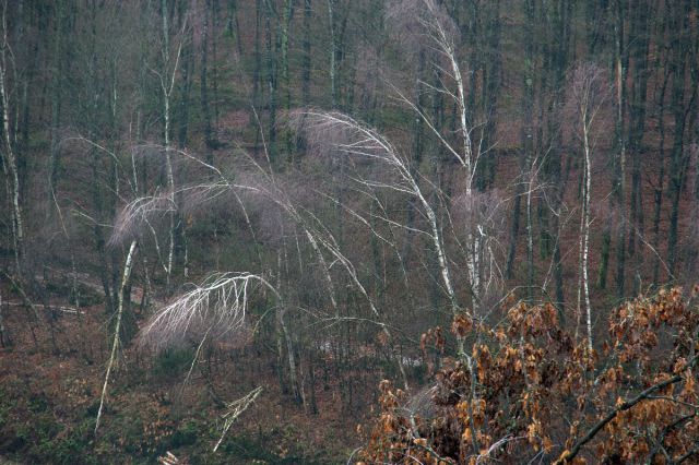 15. januar 14 - foto