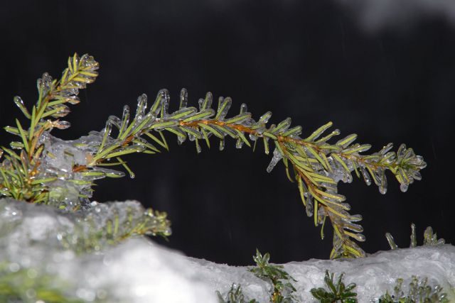 2. februar 14 - foto